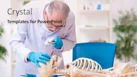  Presentation with lab - Theme enhanced with old-senior-anthropologist-working background and a lemonade colored foreground