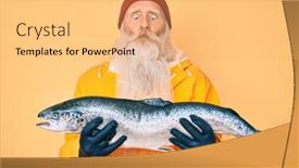  Presentation with long hair man - Beautiful presentation theme featuring old-senior-man-with-grey backdrop and a yellow colored foreground