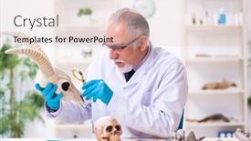  Presentation with lab - Cool new theme with old-senior-paleontologist-working backdrop and a lemonade colored foreground