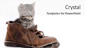  Presentation with kitten - Audience pleasing slide deck consisting of old shoes - cute kitten over white background backdrop and a white colored foreground