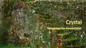  Presentation with stairway - Audience pleasing theme consisting of old stone and brick stairway covered with various plants and moss backdrop and a tawny brown colored foreground