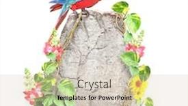  Presentation with liana - PPT theme consisting of old-stone-ara-macao-parrot background and a soft green colored foreground