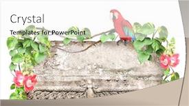  Presentation with liana - Beautiful PPT theme featuring old-stone-ara-macao-parrot backdrop and a white colored foreground