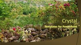  Presentation with summer flowers - Presentation theme consisting of old-stone-fence-and-flowers background and a  colored foreground