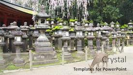  Presentation with japan sakura - Slide deck having old-stone-japanese-lanterns-branch background and a soft green colored foreground