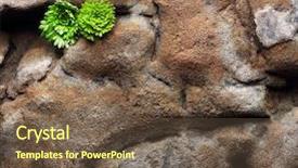  Presentation with old stone age - Slide deck having stone texture background with moss background and a tawny brown colored foreground