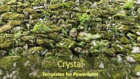  Presentation with lichen - Amazing slide set having old-stone-wall-with-moss backdrop and a tawny brown colored foreground