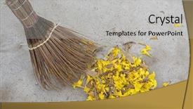  Presentation with coconut tree - Slide deck featuring old styled broom made background and a light gray colored foreground