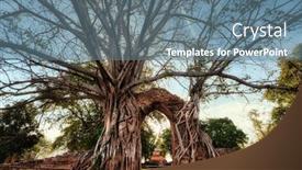  Presentation with ayutthaya - Presentation with old-temple-gate-tangled and a ocean colored foreground