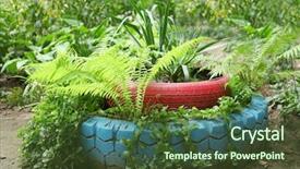  Presentation with tires - Presentation consisting of old tires used as flowerbed background and a  colored foreground