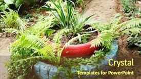  Presentation with tires - Beautiful slide set featuring old tires used as flowerbed backdrop and a tawny brown colored foreground