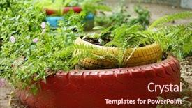  Presentation with tires - Amazing presentation having old tires used as flowerbed backdrop and a  colored foreground