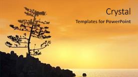  Presentation with artwork - Beautiful presentation theme featuring old tree at a ocean backdrop and a gold colored foreground