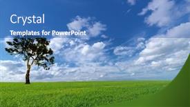  Presentation with green tree - Audience pleasing presentation theme consisting of australia rural - old tree on green field backdrop and a ocean colored foreground