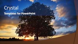  Presentation with tree silhouette - Amazing presentation having old tree silhouette at sunset backdrop and a ocean colored foreground