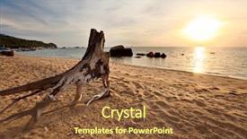  Presentation with glow - PPT theme having old tree stump on a tropical beach in the glow of the setting sun background and a tawny brown colored foreground