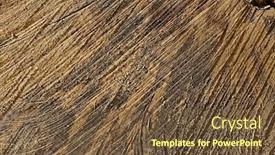  Presentation with tree rings - Colorful presentation enhanced with old tree trunk texture with annual rings backdrop and a tawny brown colored foreground