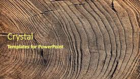  Presentation with tree rings - Slide deck having old tree trunk texture with annual rings background and a tawny brown colored foreground