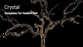  Presentation with christmas lights - Slide deck enhanced with old-tree-wrapped-in-decorative background and a black colored foreground