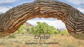  Presentation with moab - PPT layouts enhanced with old twisted cottonwood tree background and a  colored foreground