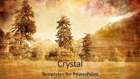  Presentation with artistic - Presentation design consisting of artistic toned picture in retro style background and a gold colored foreground