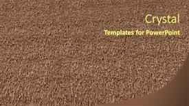  Presentation with roof - PPT layouts enhanced with old-weathered-thatched-roof-background background and a tawny brown colored foreground