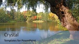  Presentation with willow tree - Cool new slide deck with old willow tree backdrop and a  colored foreground