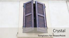  Presentation with tropical flowers close up - Beautiful PPT theme featuring old window with closed shutters backdrop and a soft green colored foreground