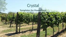  Presentation with old books on a wooden - Colorful slides enhanced with old wineyard on wooden pickets backdrop and a  colored foreground