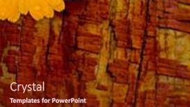  Presentation with yellow wood - 