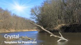  Presentation with spring water - Beautiful theme featuring old wood in river water at spring time backdrop and a tawny brown colored foreground