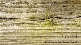  Presentation with old wood - Slides with old-wood-with-green-moss background and a coral colored foreground