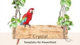  Presentation with liana - Presentation with old-wooden-board-ara-macao background and a lemonade colored foreground