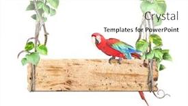  Presentation with liana - Slide deck with old-wooden-board-ara-macao background and a white colored foreground