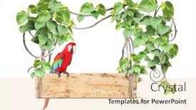  Presentation with liana - Slide set featuring old-wooden-board-ara-macao background and a lemonade colored foreground