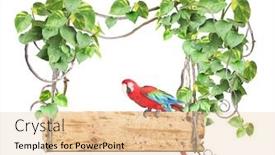  Presentation with liana - Theme with old-wooden-board-ara-macao background and a lemonade colored foreground