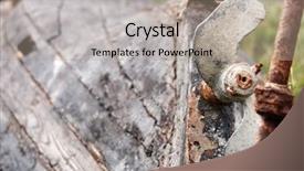  Presentation with ship propeller - Presentation theme featuring old wooden boat and propeller background and a coral colored foreground