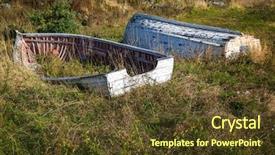  Presentation with newfoundland - Beautiful presentation featuring old wooden boats backdrop and a tawny brown colored foreground