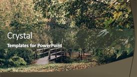  Presentation with forest bridge - Theme with tata - old wooden bridge in deep background and a dark gray colored foreground