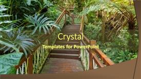  Presentation with tropical rainforest - Slides having old-wooden-bridge-with-stairs background and a  colored foreground