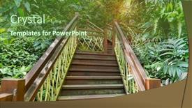  Presentation with tropical rainforest - Slide set with old-wooden-bridge-with-stairs background and a  colored foreground