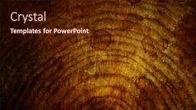  Presentation with cut - Amazing PPT layouts having old-wooden-cut-background backdrop and a wine colored foreground