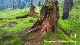  Presentation with green and wood - PPT theme consisting of old-wooden-stub-among-green background and a tawny brown colored foreground