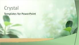  Presentation with wooden board empty table top - Presentation theme with old-wooden-table-green-leaves background and a  colored foreground