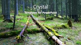  Presentation with woods - Presentation theme consisting of old woods in deep forest background and a ocean colored foreground