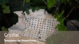  Presentation with woods - Colorful presentation enhanced with old-word-puzzle-lying backdrop and a gray colored foreground