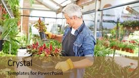  Presentation with nursery newborn child mom nursing - Amazing slides having old workers - man holding woolflower backdrop and a  colored foreground
