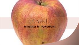  Presentation with apple - Audience pleasing PPT layouts consisting of old-wrinkled-apple-isolated-over backdrop and a coral colored foreground