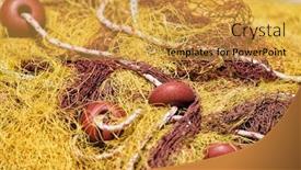  Presentation with fishing net - PPT theme featuring old-yellow-fishing-net background and a yellow colored foreground