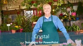  Presentation with nursery - PPT theme consisting of older-man-as-a-gardener background and a ocean colored foreground